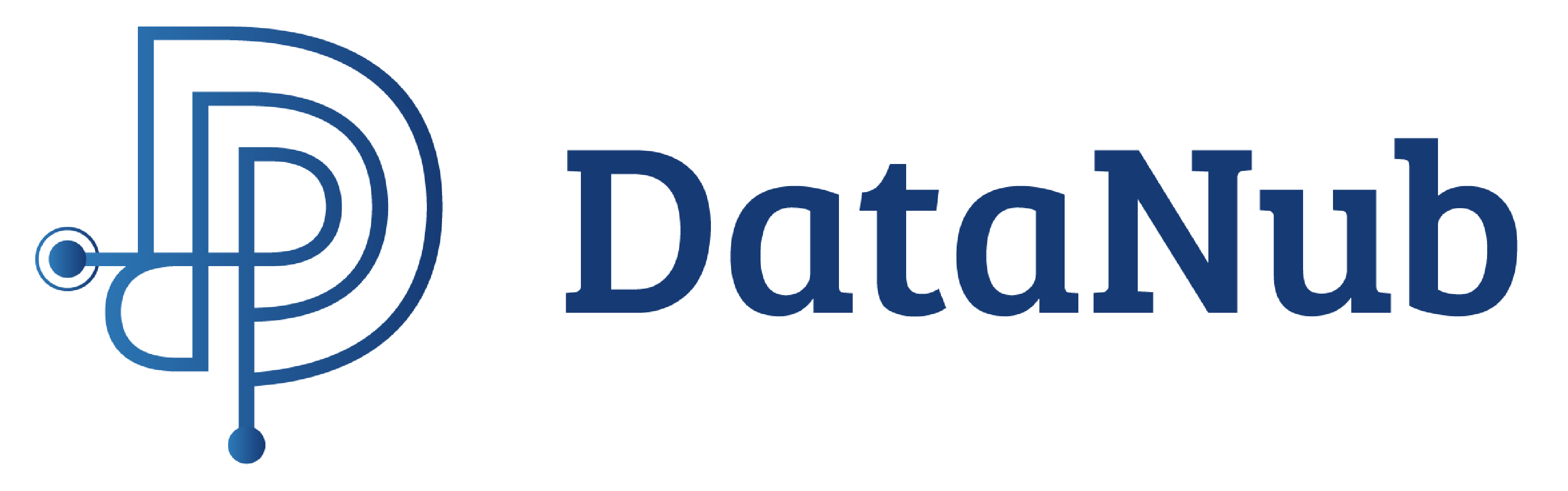DataNub technologies transparent Logo