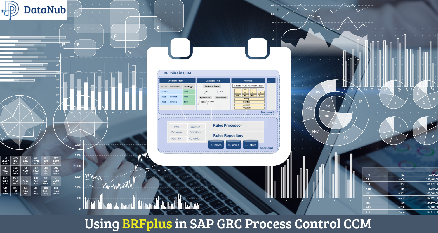 SAP GRC Process Control, BRFplus in SAP GRC Process Control CCM